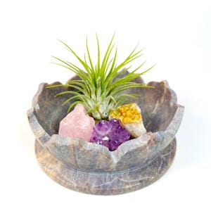 Lotus Carved Natural Stone Bowl for Air Plant, Amethyst, Rose Quartz, Citrine Display