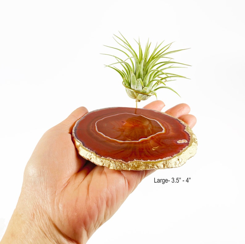 Unique May Birthday Gifts for Women, Friend, Coworker, Brown Agate Crystal Slice Air Plant Holder, Mini Planter for Cubicle or Desk Bild 2