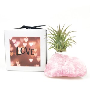 Puede incluir: Una caja blanca con un fondo de corazones rosa y blanco y la palabra "LOVE" impresa en negro. La caja est&aacute; atada con una cinta negra. Una peque&ntilde;a planta de aire verde est&aacute; sentada sobre un gran cristal de cuarzo rosa.