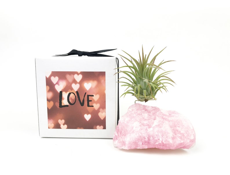 Puede incluir: Una caja blanca con un fondo de corazones rosa y blanco y la palabra "LOVE" impresa en negro. La caja est&aacute; atada con una cinta negra. Una peque&ntilde;a planta de aire verde est&aacute; sentada sobre un gran cristal de cuarzo rosa.
