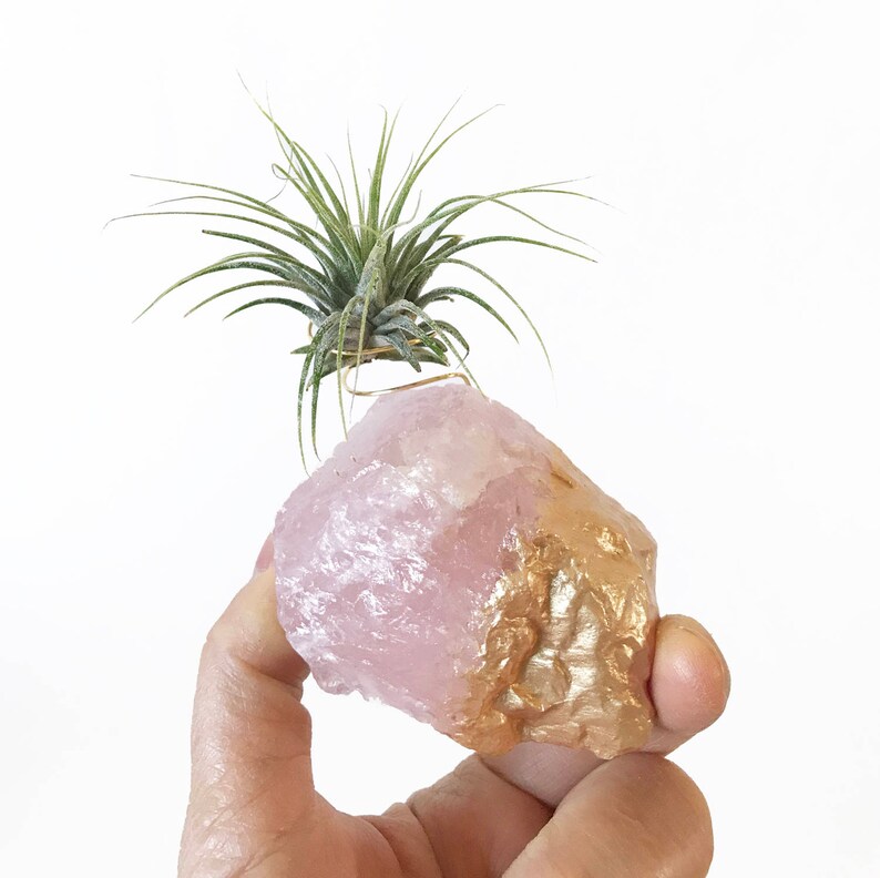 Rose Quartz Gold Dipped Air Plant Holder/Stand Includes Live Plant Meaningful and Unique Crystal Gift for Home or Office Decor image 5