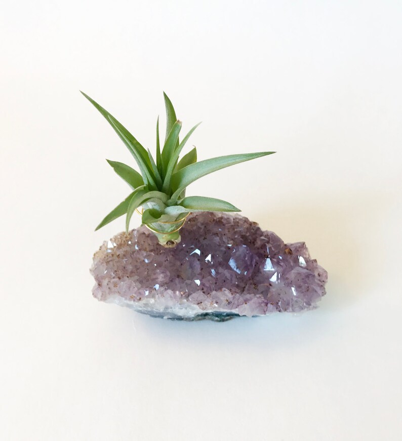 Large Amethyst Crystal Air Plant Holder Zen Garden Decor Etsy