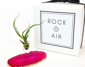 Pink Agate Slice Crystal Air Plant Holder Gift - Comes with Healthy Air Plant and Rock n Air Gift Box - Crystal and Plant Lover Gift