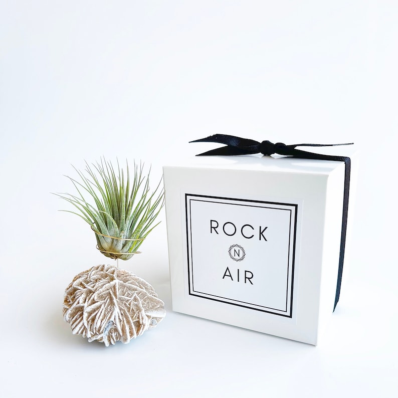 Peut inclure: Bo&icirc;te blanche avec un ruban noir et le texte "ROCK N AIR" sur le devant. Une petite plante a&eacute;rienne est pos&eacute;e sur une roche blanche.