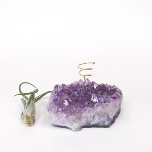 Thoughtful Birthday Gift for Her, Large Amethyst Air Plant Holder, Gift for Women, Unique gift for best friend, mom, sister, girlfriend image 6