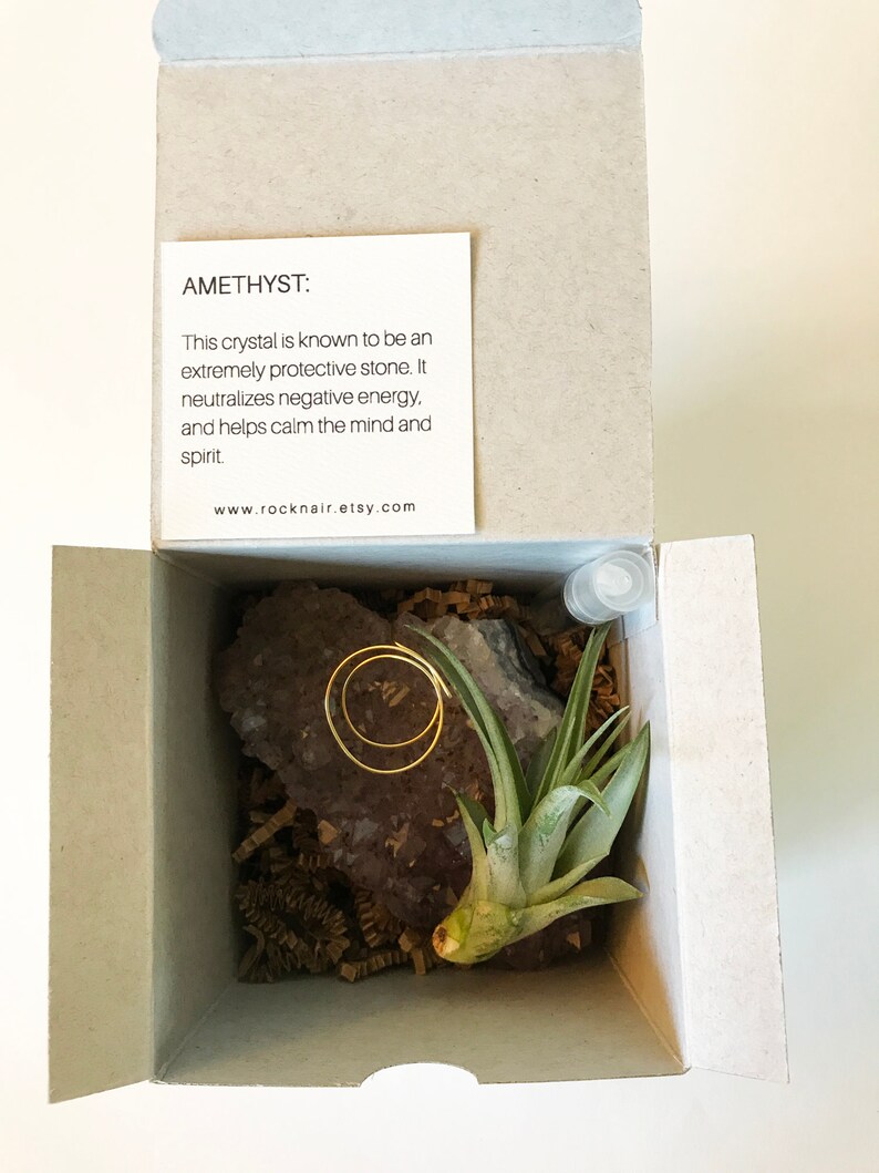 Large Amethyst Crystal Air Plant Holder Zen Garden Decor Etsy