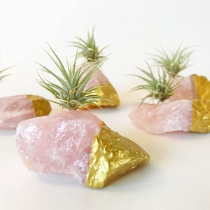 Rose Quartz Gold Dipped Air Plant Holder/Stand Includes Live Plant Meaningful and Unique Crystal Gift for Home or Office Decor image 1