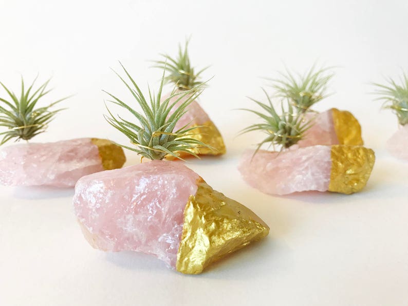 Rose Quartz Gold Dipped Air Plant Holder/Stand Includes Live Plant Meaningful and Unique Crystal Gift for Home or Office Decor image 1