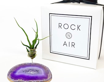 Purple Agate Slice Crystal Air Plant Holder Gift - Comes with Healthy Air Plant and Rock n Air Gift Box - Crystal and Plant Lover Gift