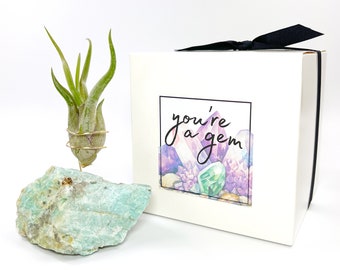 Amazonite Geode Crystal Air Plant Holder Gift, Includes Healthy Plant and Gift Box, Unique Thank You or Appreciation Gift