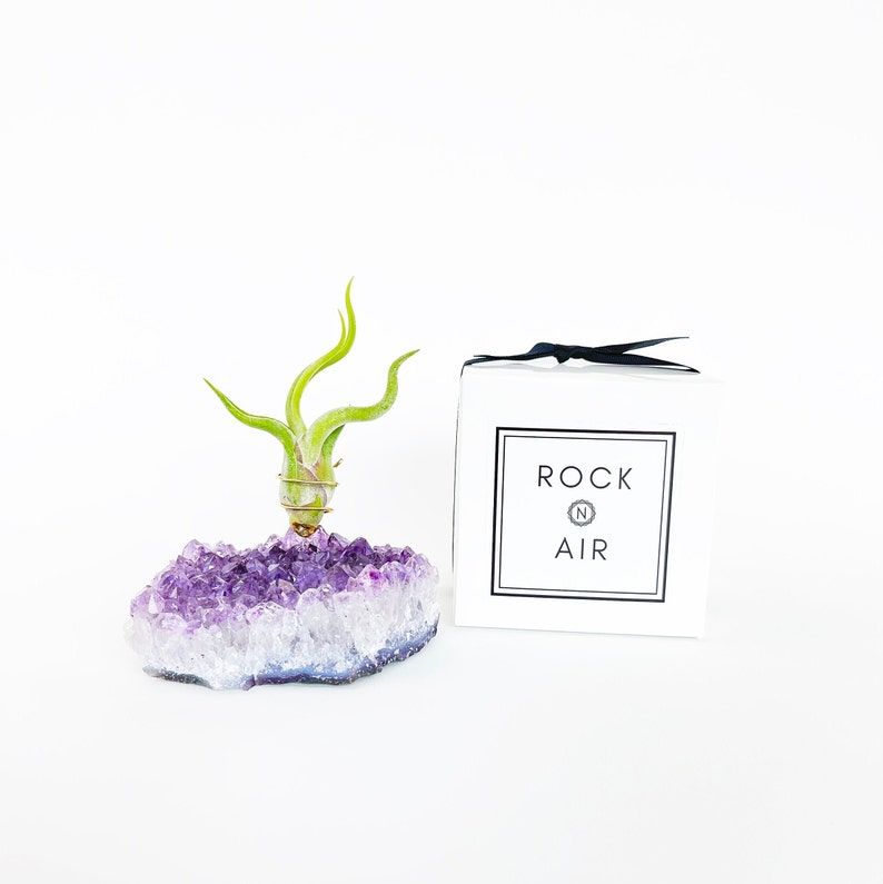 Thoughtful Birthday Gift for Her, Large Amethyst Air Plant Holder, Gift for Women, Unique gift for best friend, mom, sister, girlfriend image 3