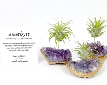 3 Gold Dipped Amethyst Crystal Air Plant Holder Stand, Healing Crystal Gift for Best Friend, Self Care Gift, Unique Essential Gift Idea