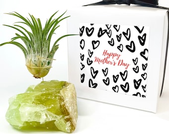 Unique Mom Day Gift, Step Mom, Friend Mom, Grandma Gift / Green Calcite Crystal Air Plant Holder - Comes with Live Plant and Gift Box