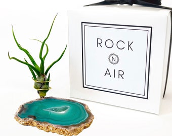 Green Agate Slice Crystal Air Plant Holder Gift - Comes with Healthy Air Plant and Rock n Air Gift Box - Crystal and Plant Lover Gift