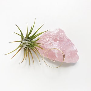 Puede incluir: Una peque&ntilde;a planta de aire verde se encuentra junto a un gran cristal de cuarzo rosa. Un aro de oro para la oreja est&aacute; colocado encima del cristal.