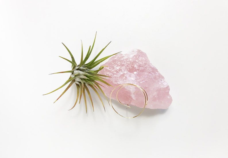 Puede incluir: Una peque&ntilde;a planta de aire verde se encuentra junto a un gran cristal de cuarzo rosa. Un aro de oro para la oreja est&aacute; colocado encima del cristal.