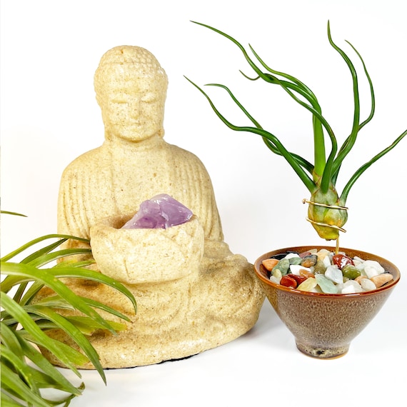 Tan Ceramic Air Plant Holder  Minimalist Japanese Zen Boho Home Decor