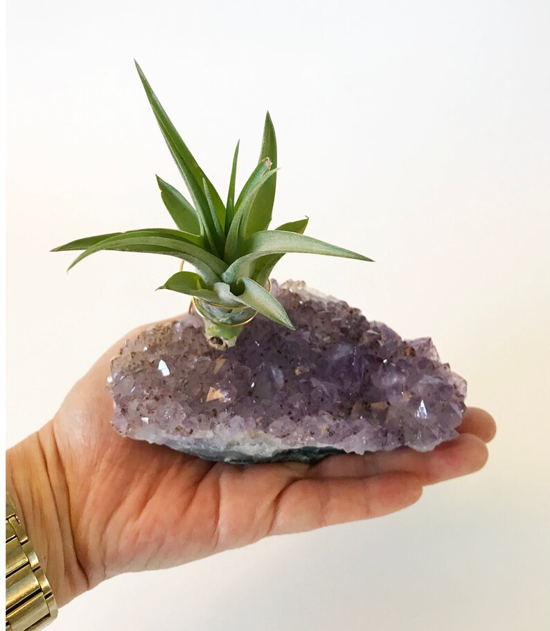 Large Amethyst Crystal Air Plant Holder Zen Garden Decor Etsy