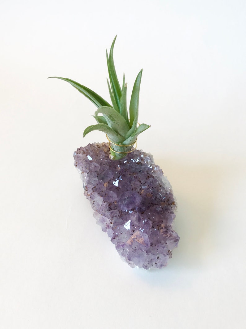 Large Amethyst Air Plant Holder Zen Garden Decor Home Etsy