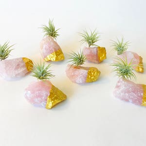 Rose Quartz Gold Dipped Air Plant Holder/Stand Includes Live Plant Meaningful and Unique Crystal Gift for Home or Office Decor image 2