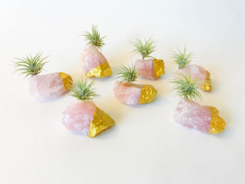 Rose Quartz Gold Dipped Air Plant Holder/Stand Includes Live Plant Meaningful and Unique Crystal Gift for Home or Office Decor image 2