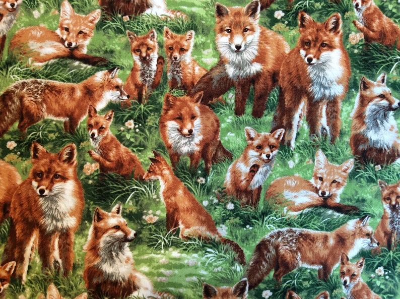 Quilting Fabric By the Yard      1  Yard   Premium Quilt Quality 100/% Cotton FOXY FABRIC   Woodland Fabric Woodland Baby Quilt Fox Fabric
