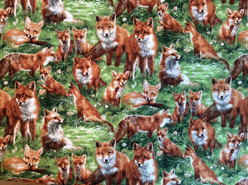 Quilting Fabric By the Yard 1 Yard Premium Quilt Quality 100/% Cotton FOXY FABRIC Woodland Fabric Woodland Baby Quilt Fox Fabric