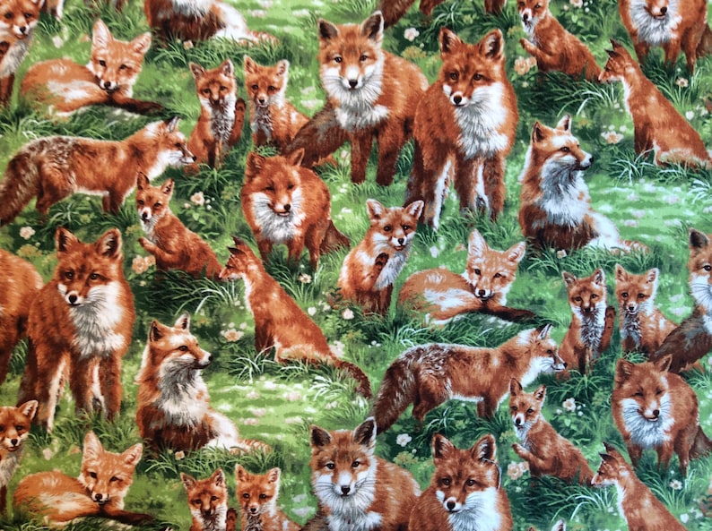 Quilting Fabric By the Yard 1 Yard Premium Quilt Quality 100/% Cotton FOXY FABRIC Woodland Fabric Woodland Baby Quilt Fox Fabric
