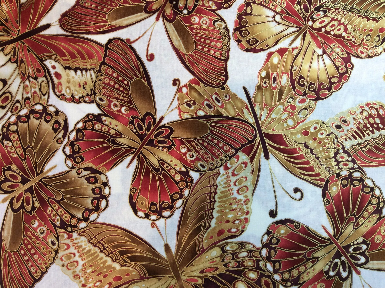 BUTTERFLIES Cream Bold Print Fabric 1 Yard | Etsy