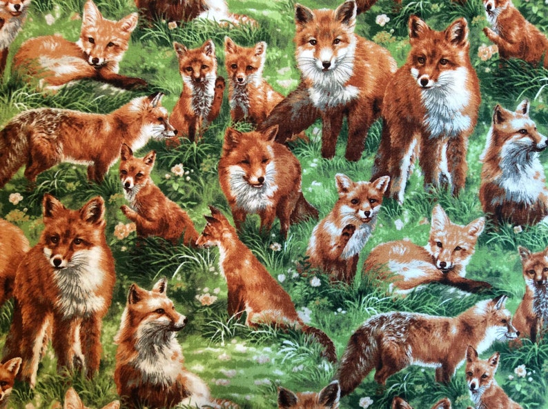 Quilting Fabric By the Yard 1 Yard Premium Quilt Quality 100/% Cotton FOXY FABRIC Woodland Fabric Woodland Baby Quilt Fox Fabric