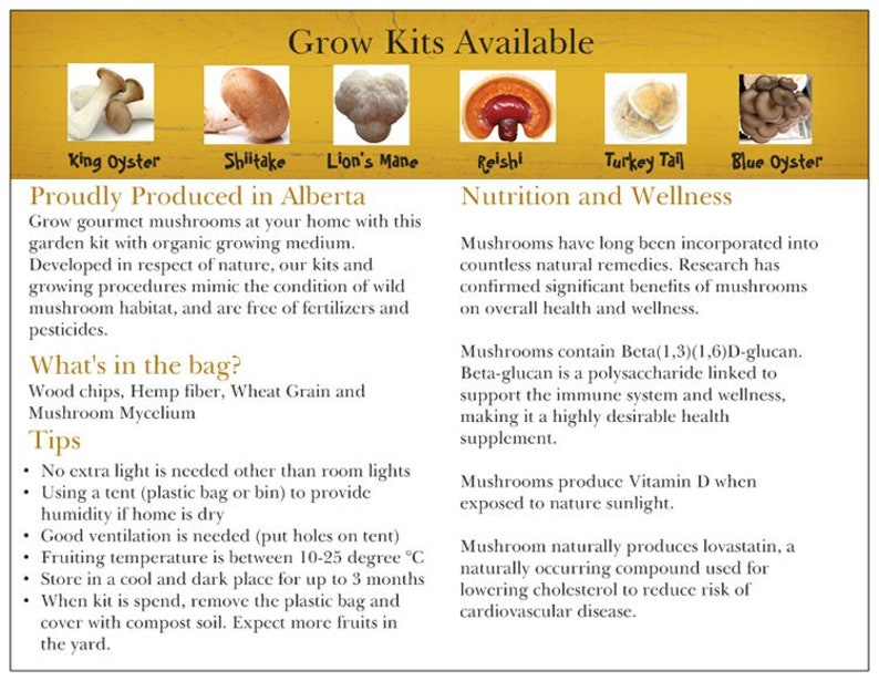 Turkey Tail Mushroom Home Grow Kit Etsy