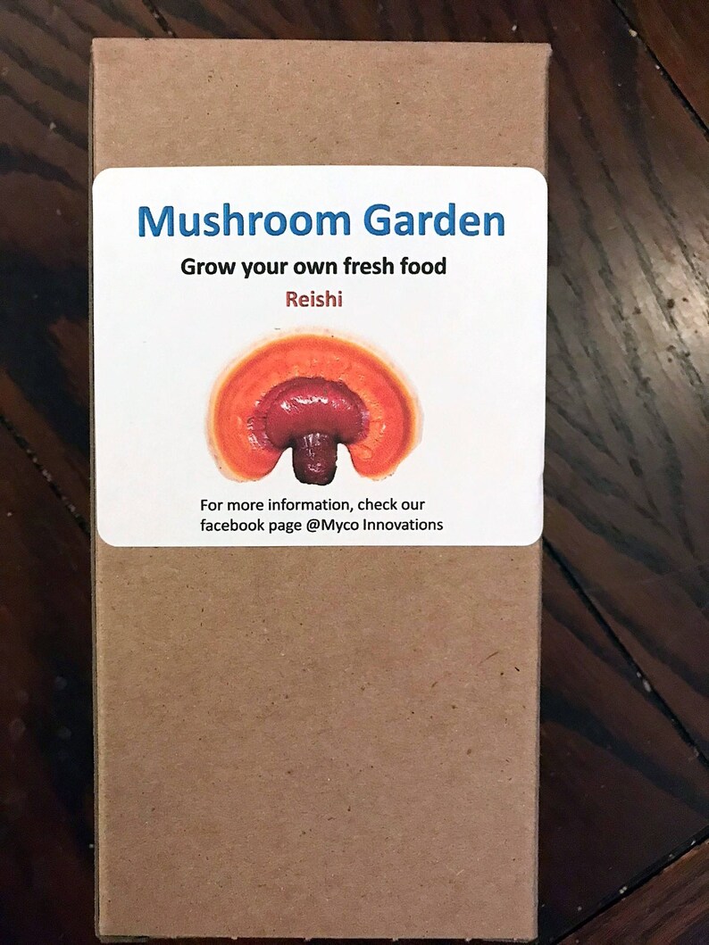Reishi Mushroom Home Grow Kit | Etsy