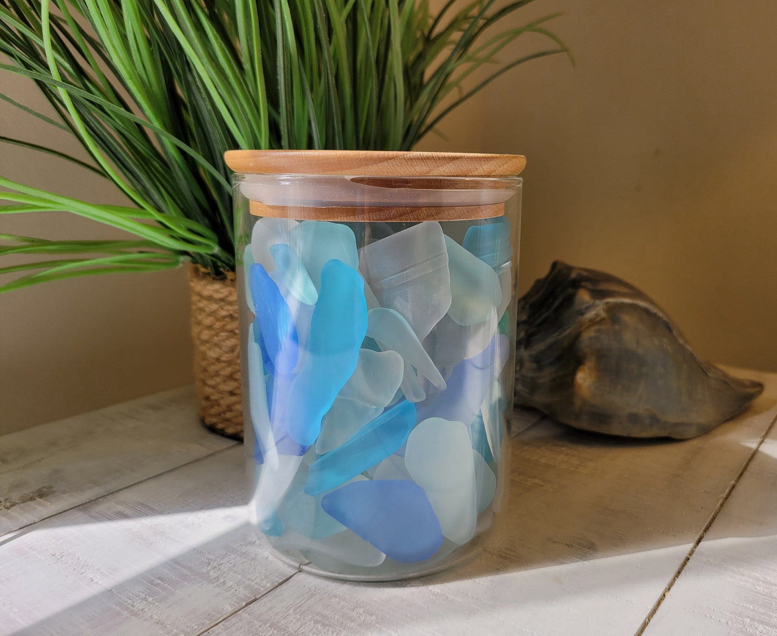 Sea Glass Decor. Sea Glass Art. Beach Decor. Sea Glass Gift. Etsy