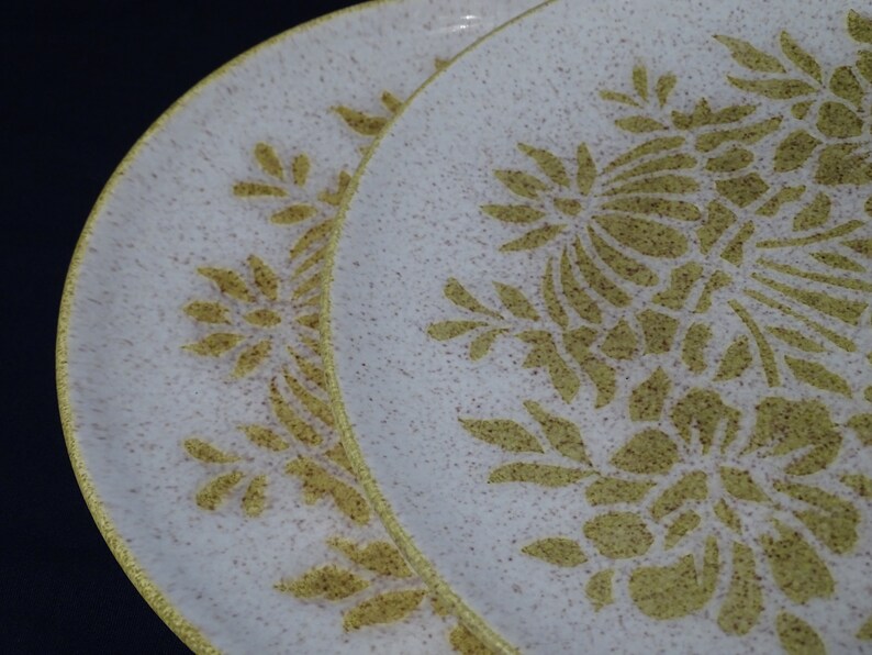 hostess gift collector holiday vintage dinnerware made in Minnesota Damask by Red Wing set of 2 dinner plates vintage stoneware.