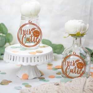 Little Cutie Baby Shower Decorations, Baby Shower Centerpiece, A Little Cutie Is on The Way Baby Shower, Gender Reveal, Set of 6 tags
