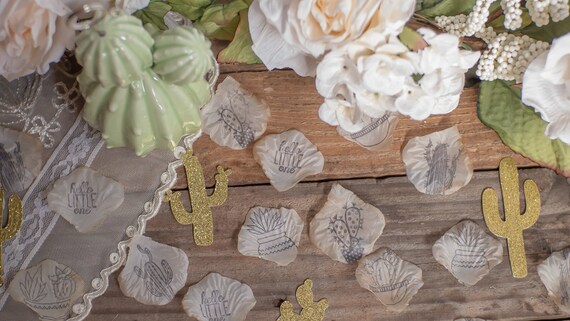 Cactus Baby Shower, Fiesta Baby Shower, Cactus Bridal Shower, Fiesta Bridal Shower, Cactus Party Decor, Succulent Bridal Shower Il_570xn