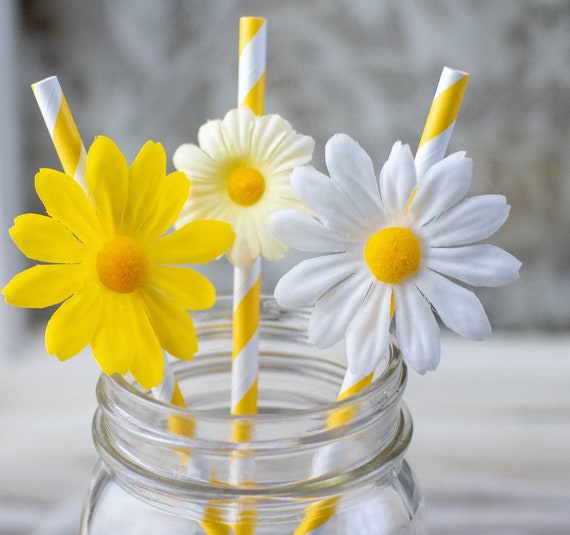 Baby Shower Decor Daisy Baby Shower Party Straws Birthday