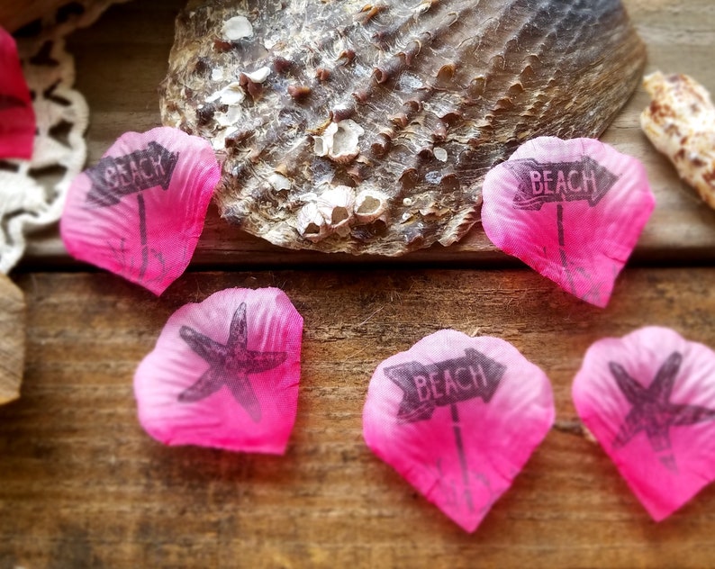 Rustic Beach Party Ideas Pink Shell Confettibeach Theme Etsy