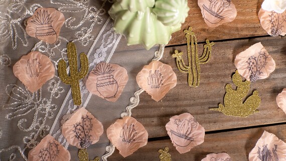 Fiesta Baby Shower, Cactus Baby Shower, Girl Baby Shower, Succulent Baby Shower, Cactus Bridal Shower, Fiesat Bridal Shower, Cactus Party Il_570xn