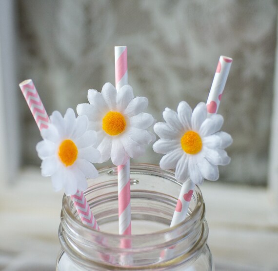 Baby Shower Decor Daisy Baby Shower Party Straws Birthday