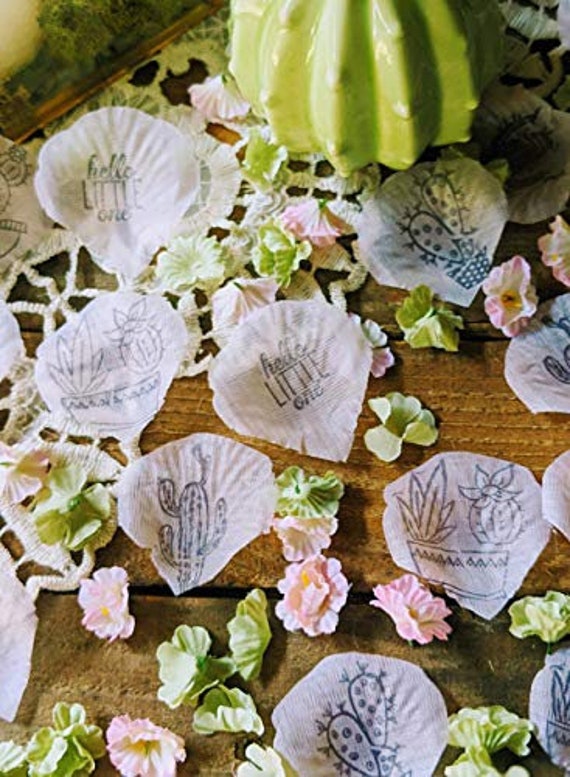 Cactus Baby Shower, Succulent Wedding, Cactus Party Decor, Succulent Bridal Shower, Cactus Bridal Shower Il_570xn
