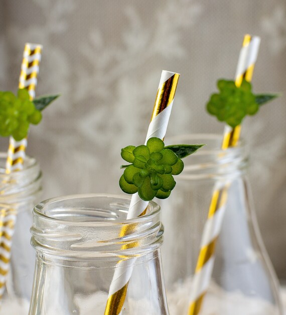 Baby Shower Decor, Succulent Baby Shower, Paper Straws, Birthday party Decorations, Succulent Bridal Shower Decor, Set of 10 Il_570xn