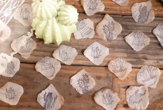 Cactus Baby Shower, Gender Neutral, Baby Shower Decor, Succulent Baby Shower,Table Confetti ,baby sprinkle, Fiesta Baby Shower Il_570xn
