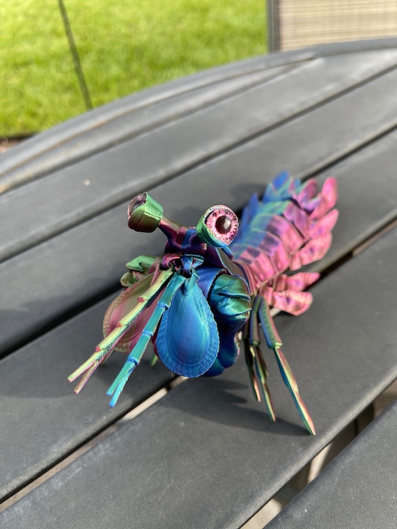 Mantis Shrimp 3D Print Articulating Customizable You Choose Color