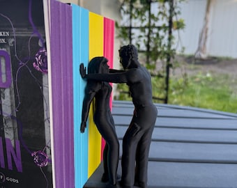 Booktok Couple | Book Insert | Bookshelf Shelf Decor