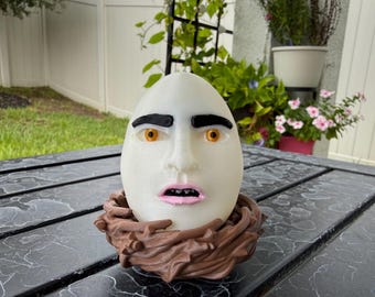 Eggward | Bookshelf Decor