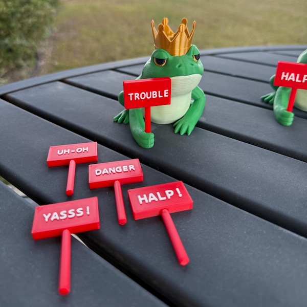 Enseignes interchangeables décoratives pour étagères grenouille couronnée