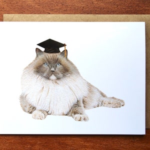 Tarjeta de felicitación de graduación de Ragdoll en acuarela, tarjeta de graduación de gato pintada a mano en acuarela.