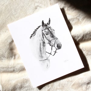 Impresión artística de retrato de caballo, impresión de caballo dibujada a mano, impresión de arte animal, dibujo de caballo a lápiz