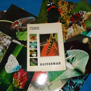 1980 Insectes .  Lot de 25 cartes postales photo couleur vintage. Cartes postales soviétiques russes de l'URSS. асекомые . трытки